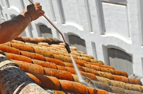 Nettoyage de toitures - Wissous